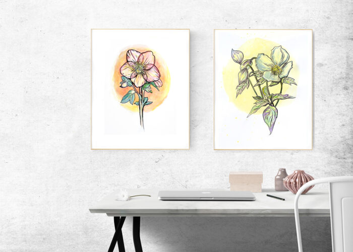 Hellebore - Image 2