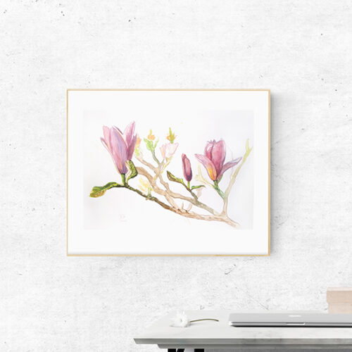Magnolias watercolour