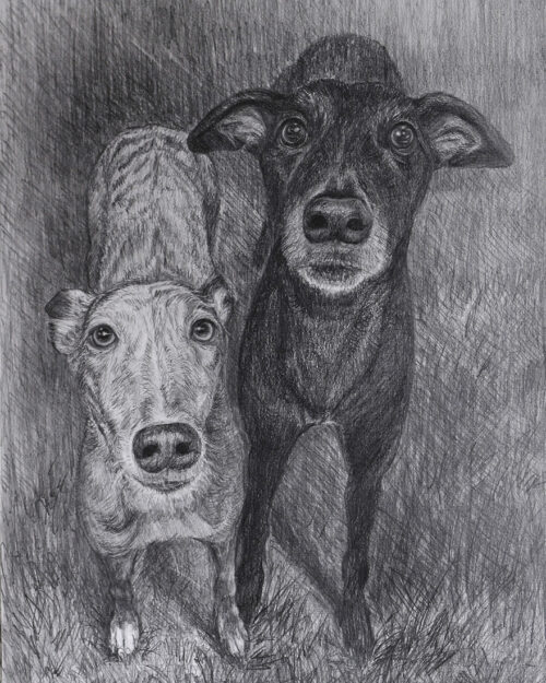 Custom Pet Portrait from Photo – Hand-Drawn in Pencils, Charcoal, or Graphite