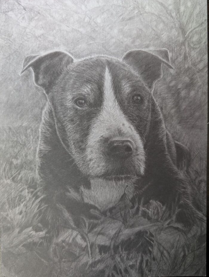 Custom Pet Portrait from Photo – Hand-Drawn in Pencils, Charcoal, or Graphite - Image 2