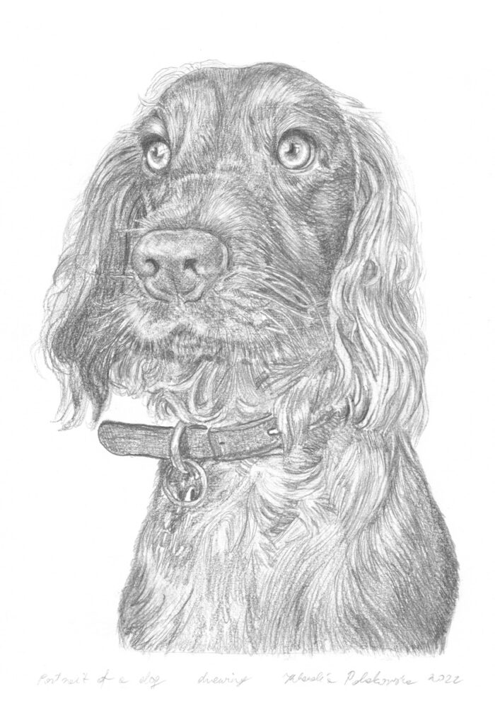 Custom Pet Portrait from Photo – Hand-Drawn in Pencils, Charcoal, or Graphite - Image 3