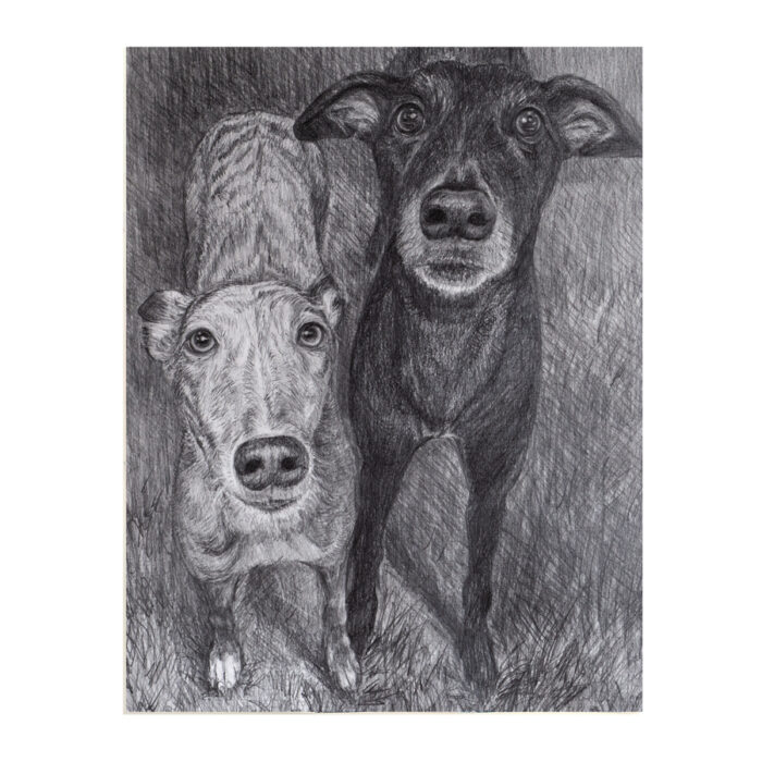 Custom Pet Portrait from Photo, Original Pencils drawing: Charcoal or Graphite - Image 2